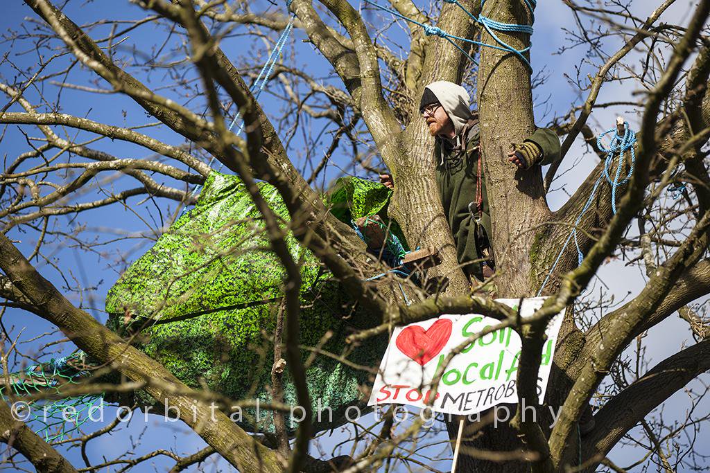 Bristol tree protest